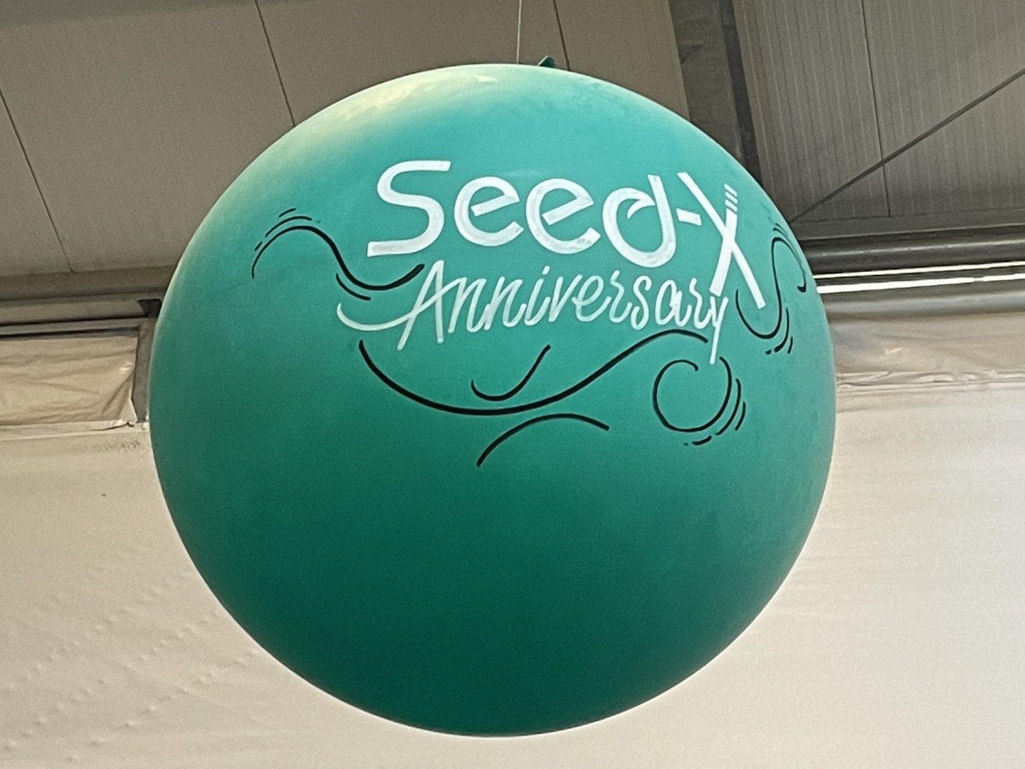 Reuze Beschreven Ballon. Beschreven met een tekst en stijl naar keuze door onze professionele reclameschrijver.