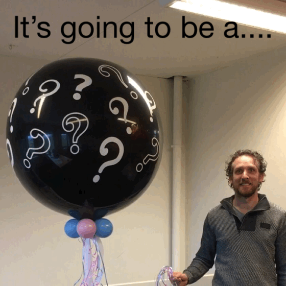 gif afbeelding van een gender reveal explode-it ballon